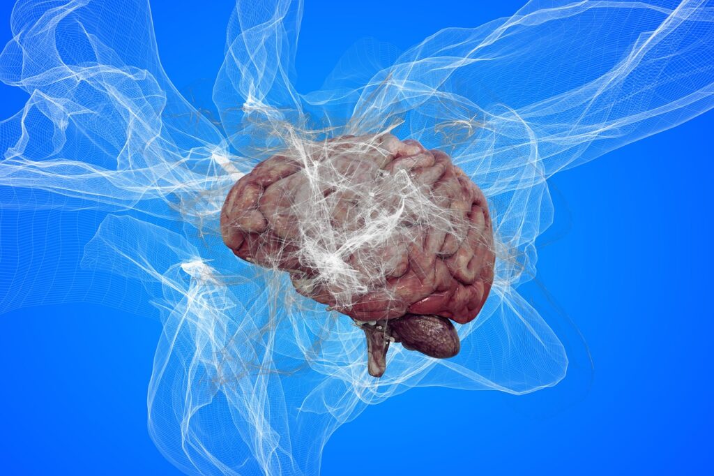 neurons, brain cells, brain structure, dementia, alzheimer's disease, brain, forgetfulness, memory, health, disease, human, neurons, brain cells, dementia, dementia, dementia, dementia, alzheimer's disease, alzheimer's disease, alzheimer's disease, alzheimer's disease, alzheimer's disease, brain, brain, brain, disease