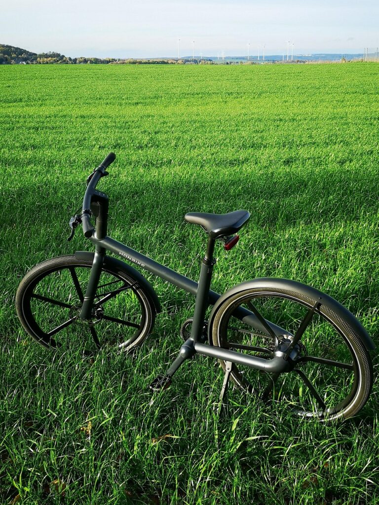 bicycle, e bike, meadow, green, foresight, ride, outdoors