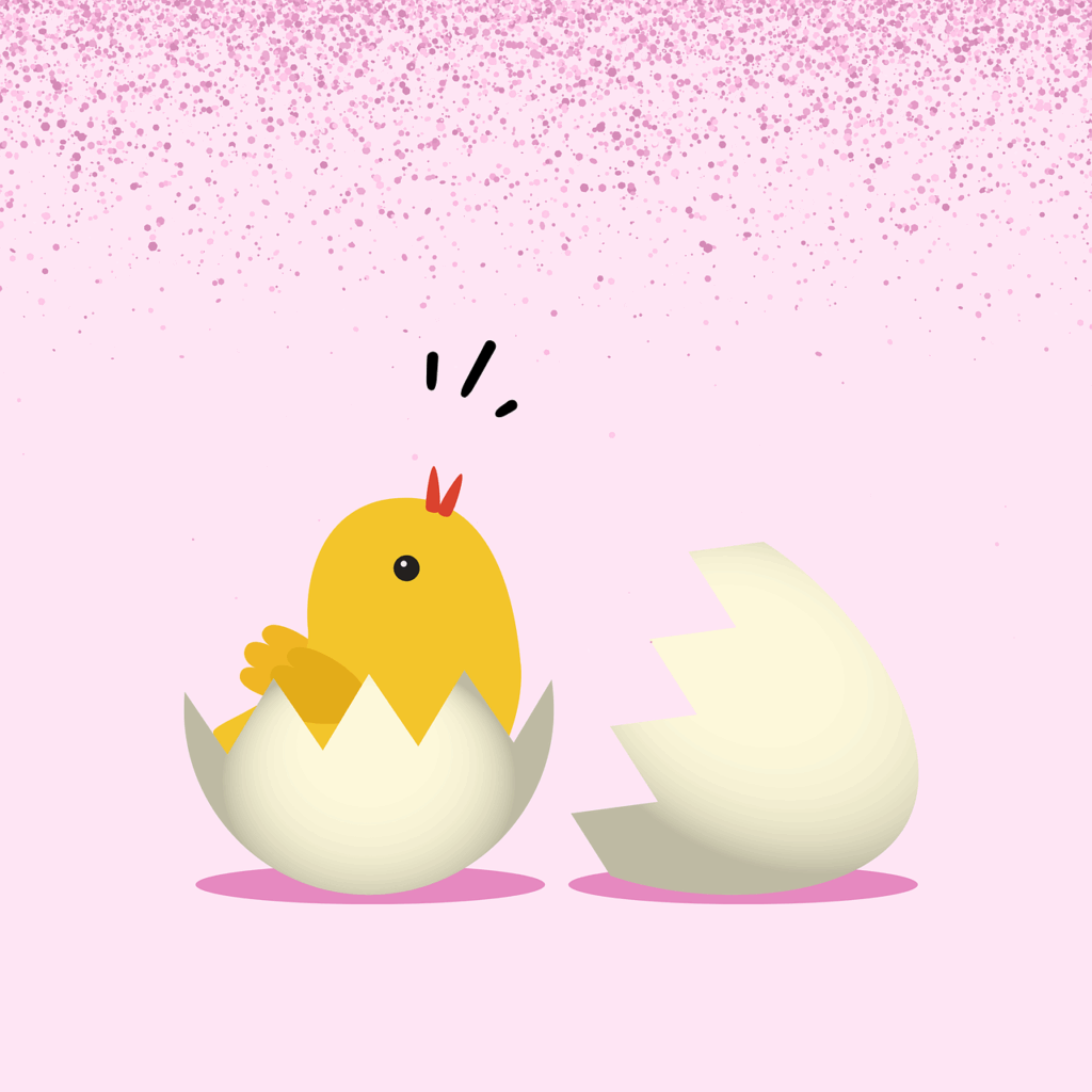 chick, egg, birth, pink, confetti, newborn, chirp, tweet, chirrup, baby bird, hatching, chick, chick, chick, egg, egg, egg, egg, egg, birth, birth, birth