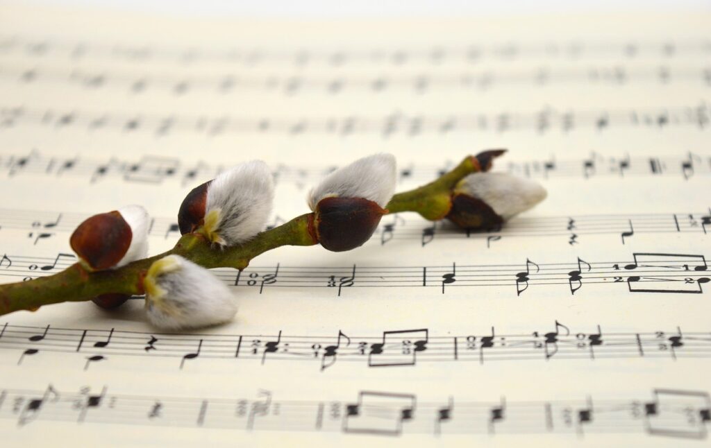 willow catkin, kitten, branch, easter, sheet music, music, easter song, easter greeting, easter theme, catkins, grades, kitty branch, songs, to sing, choir, melody, easter, easter, choir, choir, choir, choir, choir