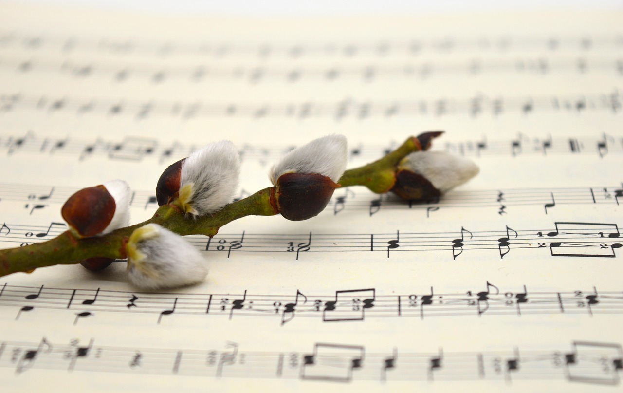 willow catkin, kitten, branch, easter, sheet music, music, easter song, easter greeting, easter theme, catkins, grades, kitty branch, songs, to sing, choir, melody, easter, easter, choir, choir, choir, choir, choir