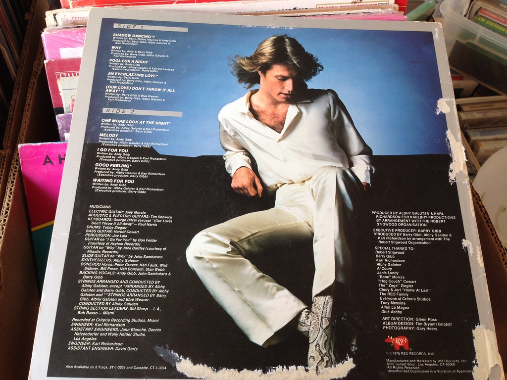 Andy Gibb
