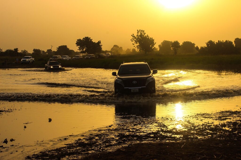 Unearthing Automotive Gold: A Forbes Guide to Classic Cars Becoming Savvy Investments