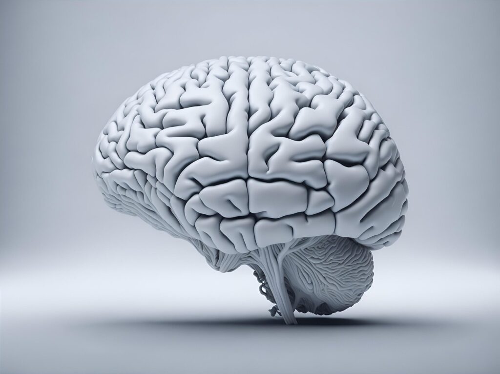 ai generated, brain, mind, technology, anatomy, medical, thinking, memory