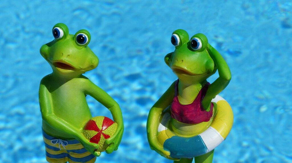 frog, to bathe, vacations, bathing vacation, summer, water, decorative items, swim, nature, ready to swim