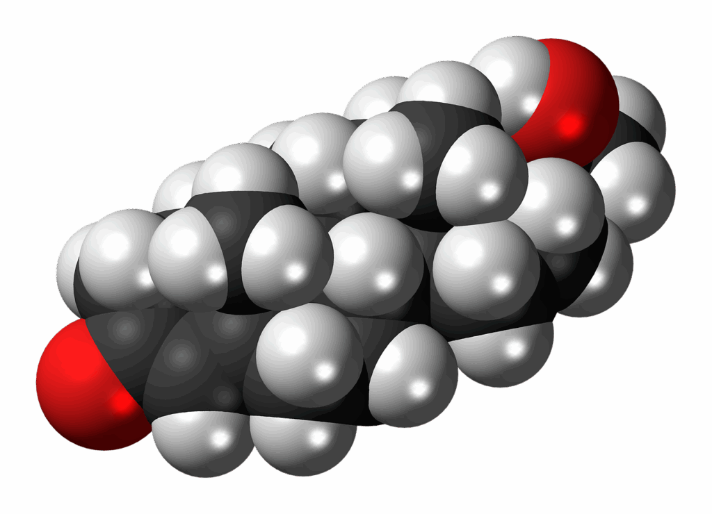 dihydroprogesterone, molecule, steroid, model, chemistry, cyclic, organic, space filling model, steroid, steroid, steroid, steroid, steroid