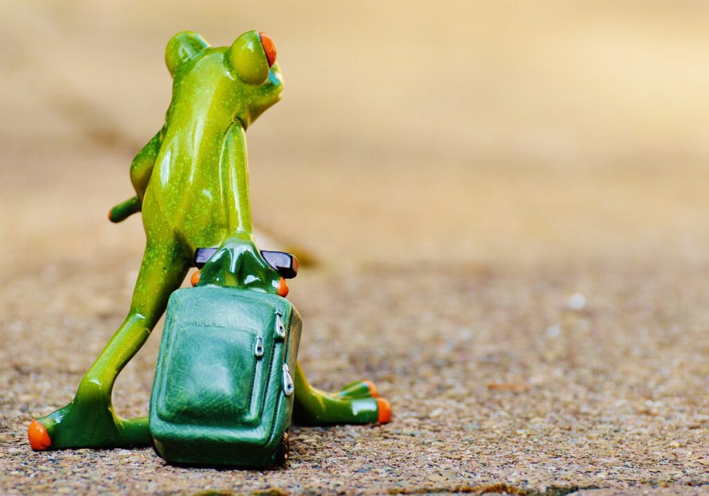 frog, farewell, travel, suitcase, travel bag, vacations, on the way, animal, fun, nature, figure, cute
