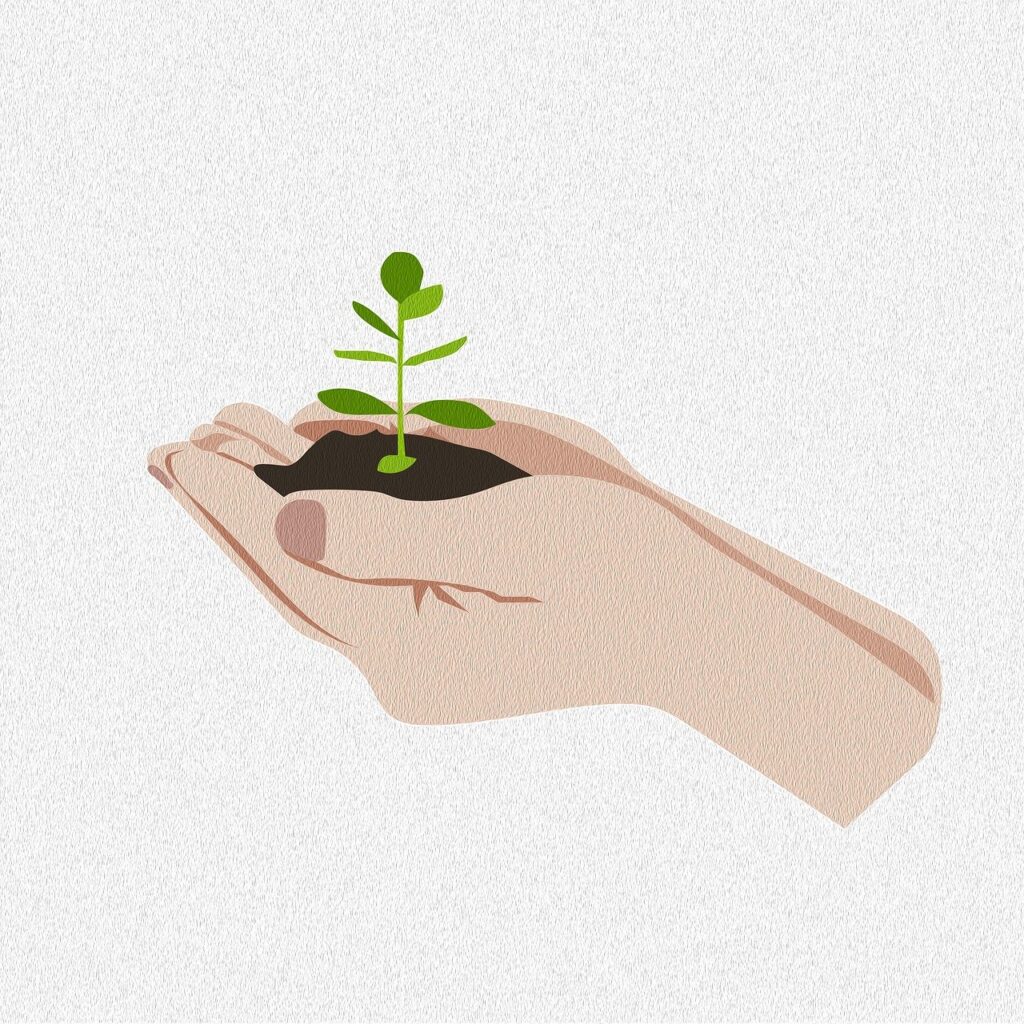 grow, plants, drawing, hands, background, nature, seed, soil