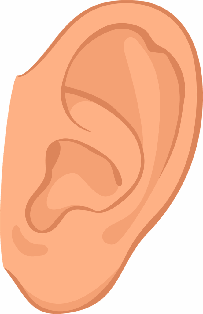 ear, human, person, hear, listen