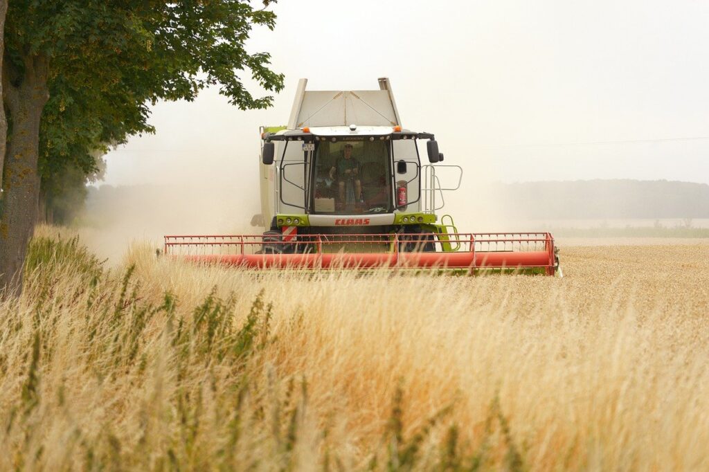 combine harvester, agriculture, harvest, grain, panasonic, lumix, wetterau, hesse, germany, claas