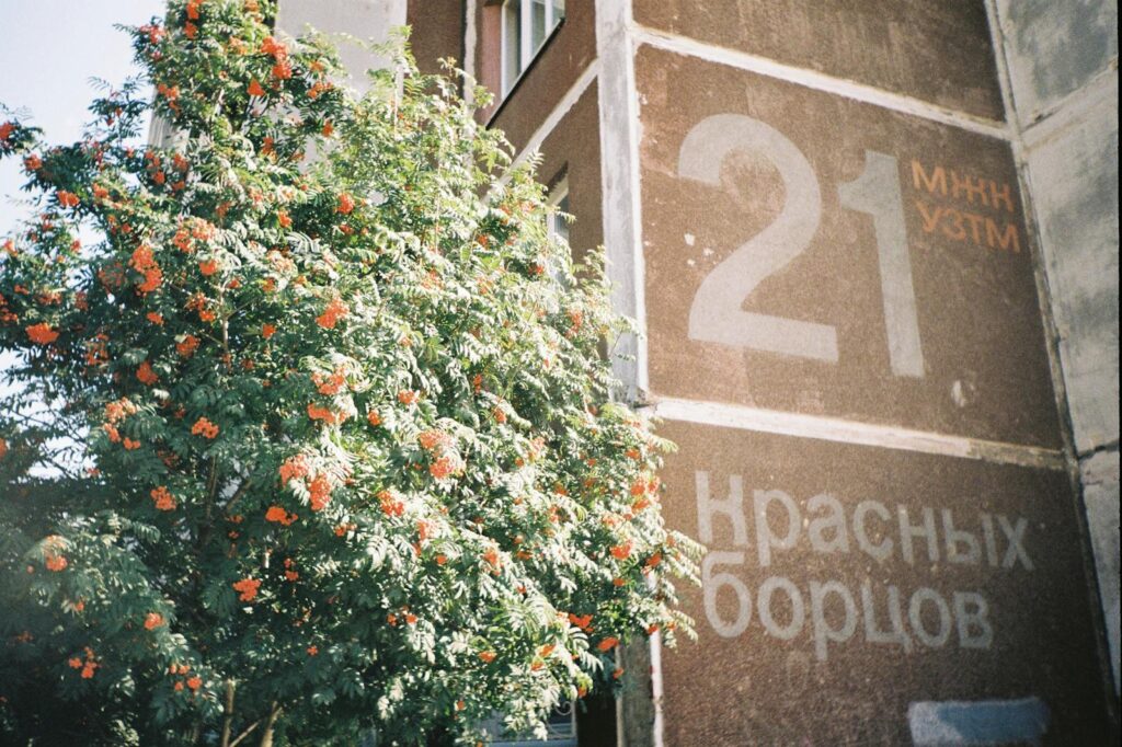 Flowering rowan tree beside an urban building with large painted numbers.