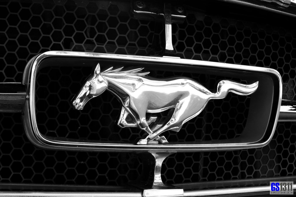 Global Ford Recall Alert: Essential Guide to Rearview Camera Failures Impacting Millions of Mustang, F-150, and Super Duty Models Global Ford Recall Alert: Essential Guide to Rearview Camera Failures Impacting Millions of Mustang, F-150, and Super Duty Models