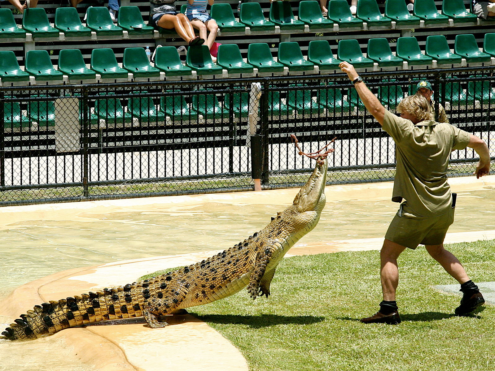 The Iconic Moment Steve Irwin Was Bitten By a Snake on Live TV: An Unforgettable Display of True Wildlife Warrior Cool!