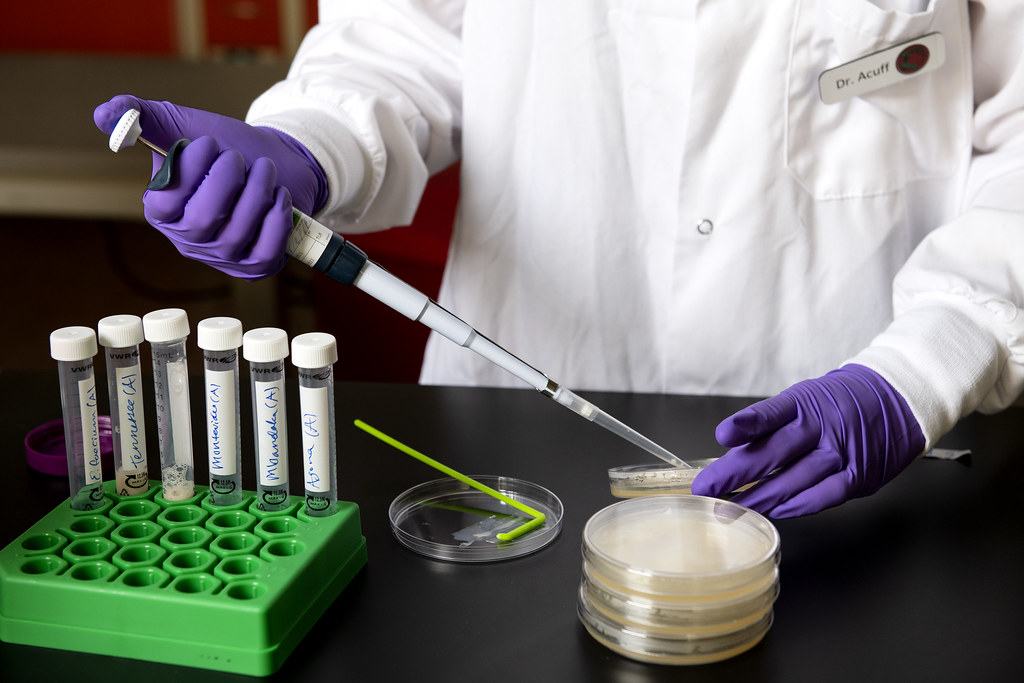 Decoding the USDA’s Poultry Salmonella Strategy: What Recent Changes Mean for Your Food Safety