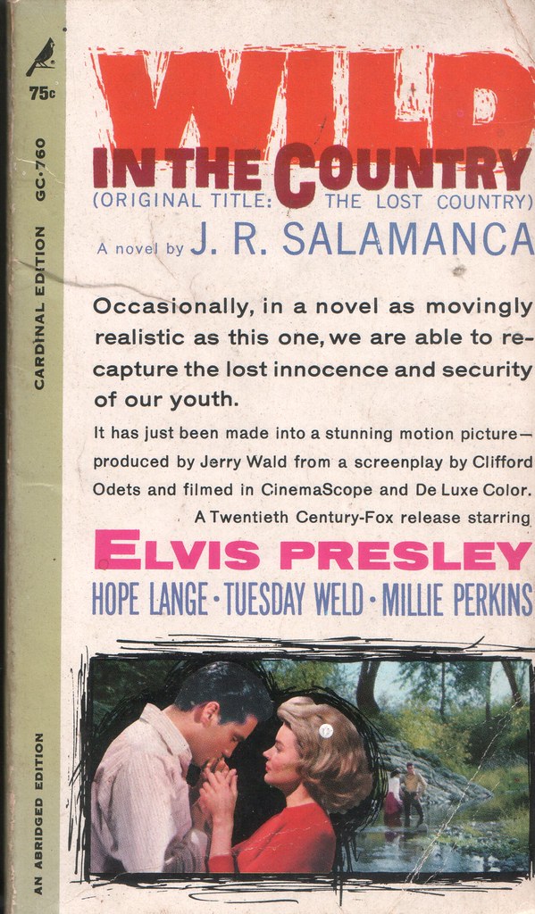 Unearthing the Silver Screen’s Faded Gems: 13 ’60s Movie Stars Who Shone Brightly But Are Oddly Forgotten Today