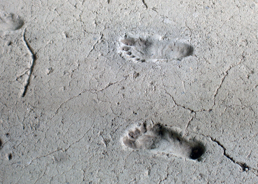 Archaeologists Uncover 115,000-Year-Old Human Footprints Where They Shouldn’t Be: A Deep Dive into the Science of Discovery