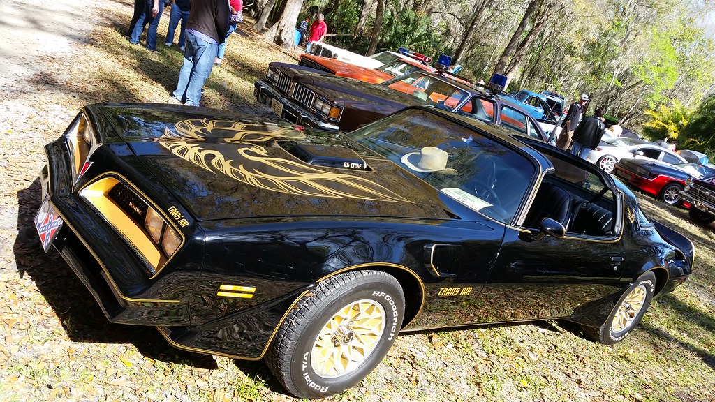 Bandit Trans Am