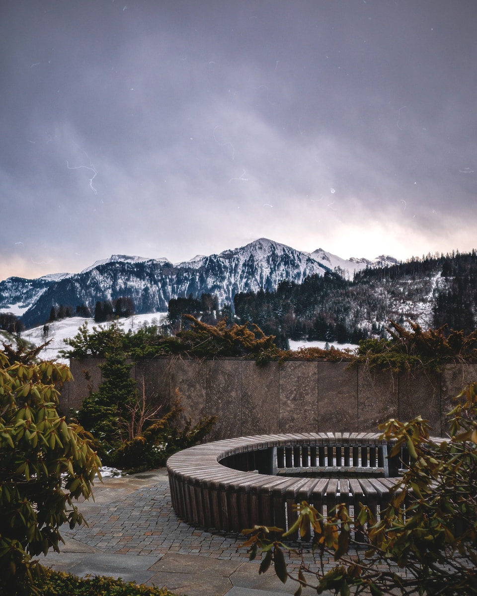 a circular bench sitting in the middle of a park