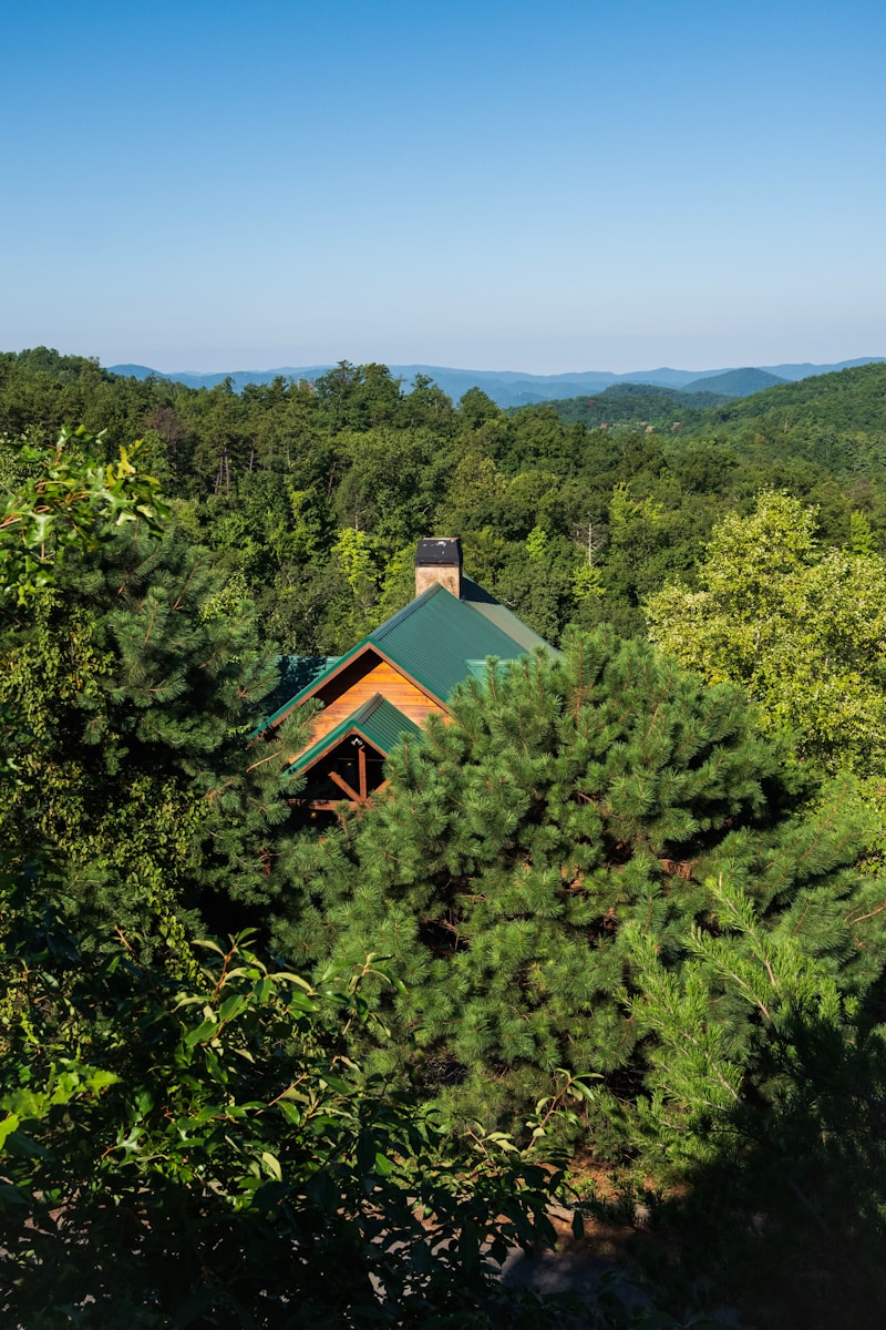house in middle of trees