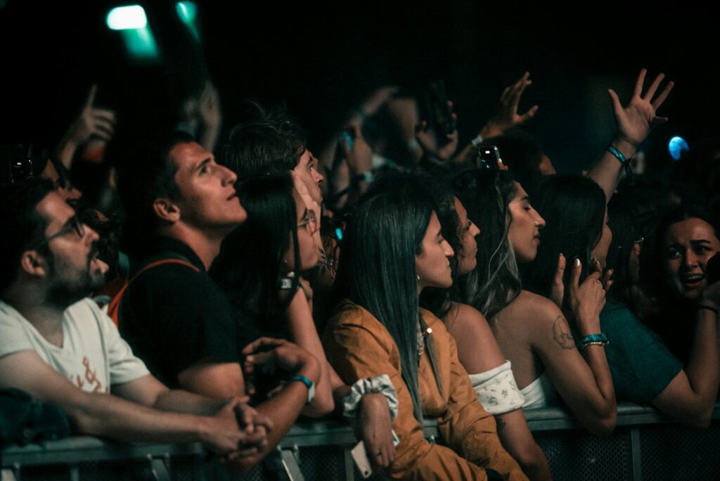 a crowd of people at a concert