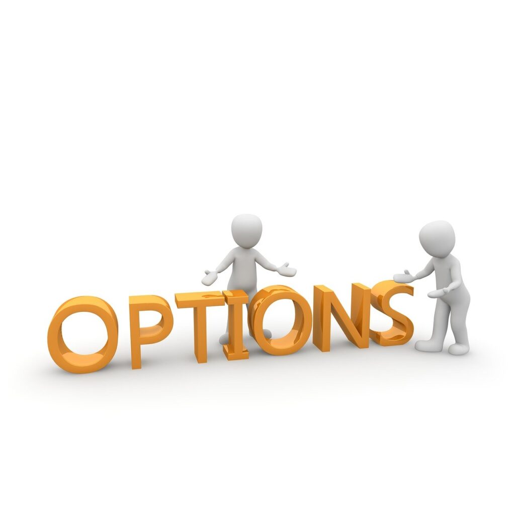 option, decision, consideration, meeting, chance, selection, another way, contingency, counter proposal, thought process, perspective, options, option, options, options, options, options, options