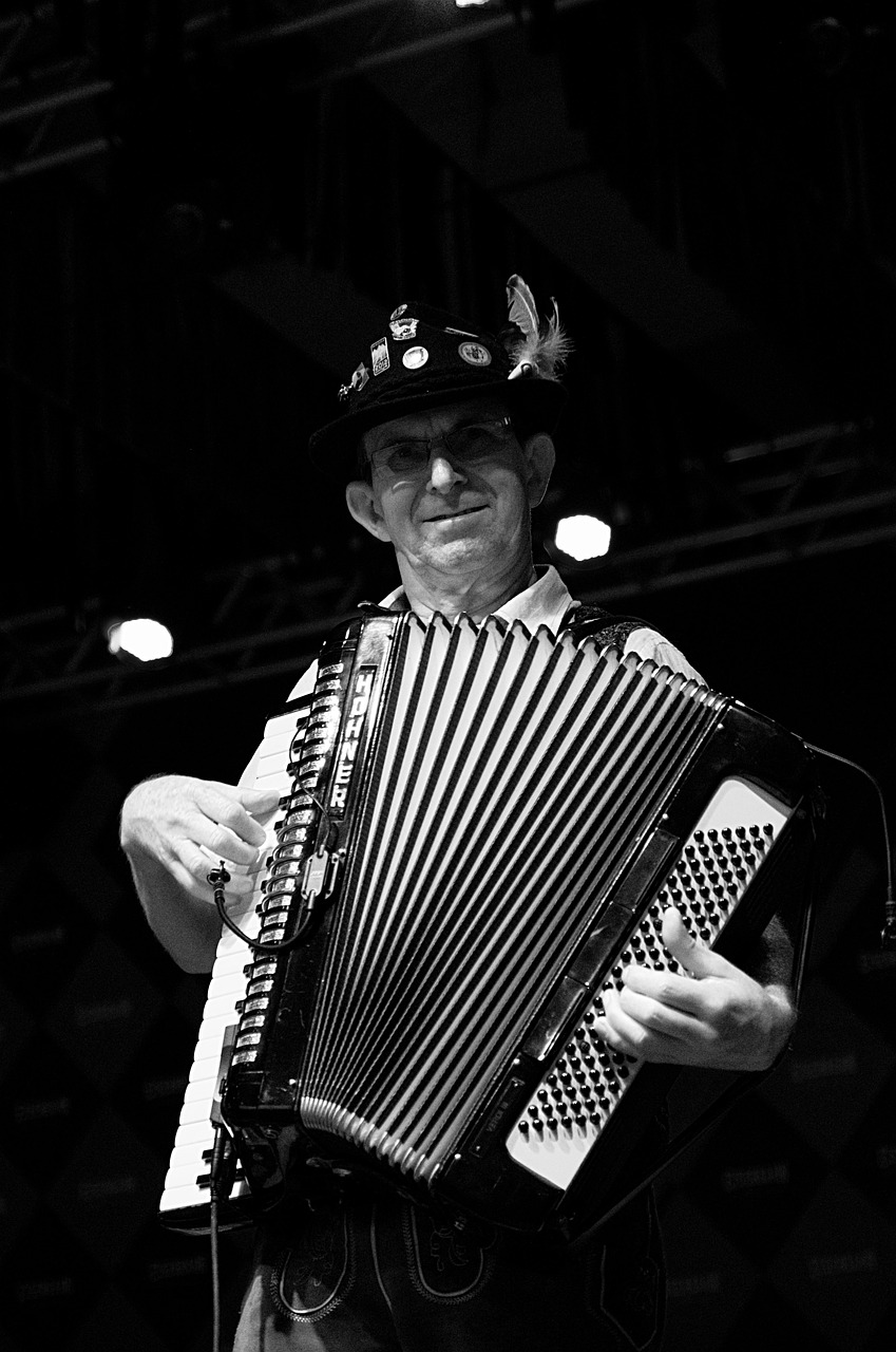 musician, accordion, instrument, performance, white, man, accordionist, traditional