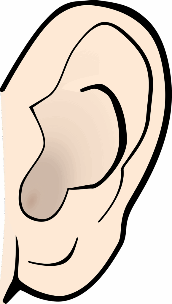 alphabet word images, body, drawing, ear, education, face, hearing, school, ear, ear, ear, ear, ear