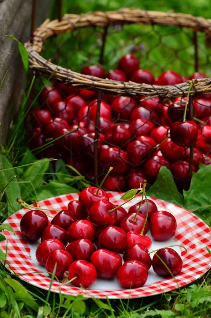 cherries, fruit, sweet cherry, cherry harvest, nature, red, garden, summer, basket, plate