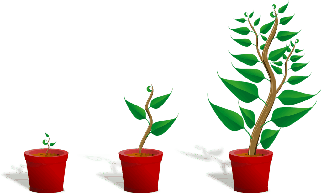 sapling, plant, growing, seedling, growth, potted plants, botany, gardening, leaves, nature, stem, concept, growth concept, cut out, plant, plant, plant, plant, growth, growth, growth, growth, growth