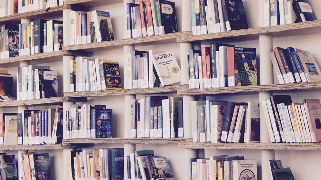 books, library, read, shelves, shelf, reading, culture, book, edition, books, books, books, books, books, library, library, book, book