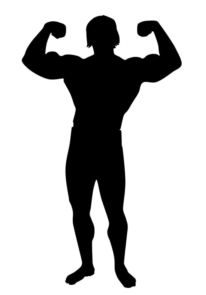 muscle, bodybuilding, gym, male silhouette, muscle, muscle, muscle, muscle, muscle, bodybuilding, bodybuilding, gym, gym, gym