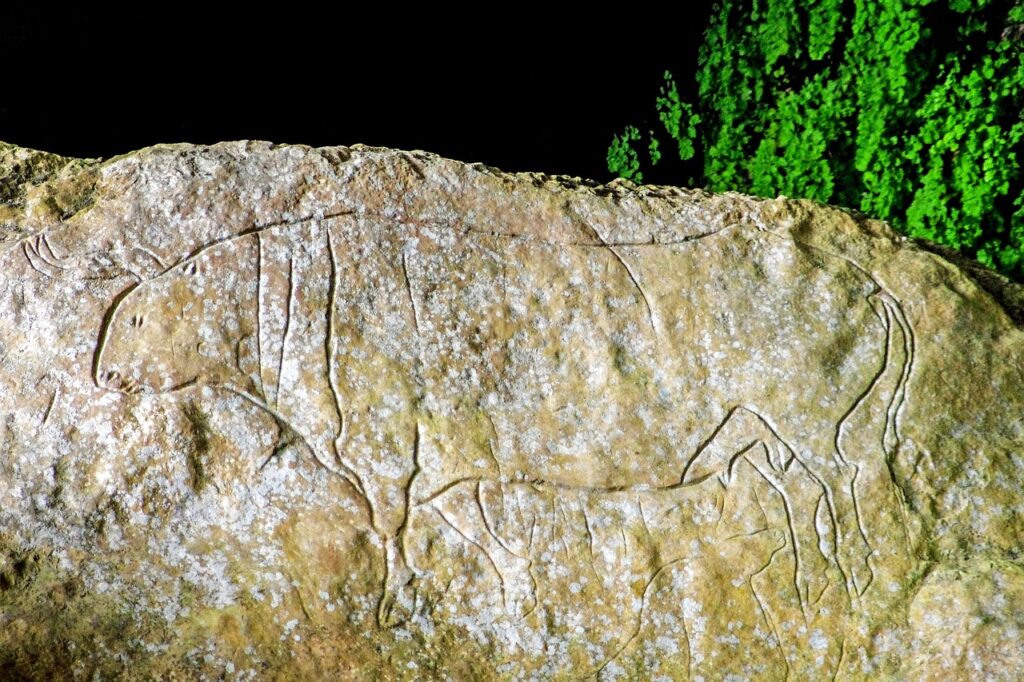 Ancient Echoes from the Deep: How 57,000-Year-Old Cave Engravings in France Are Reshaping Neanderthal History
