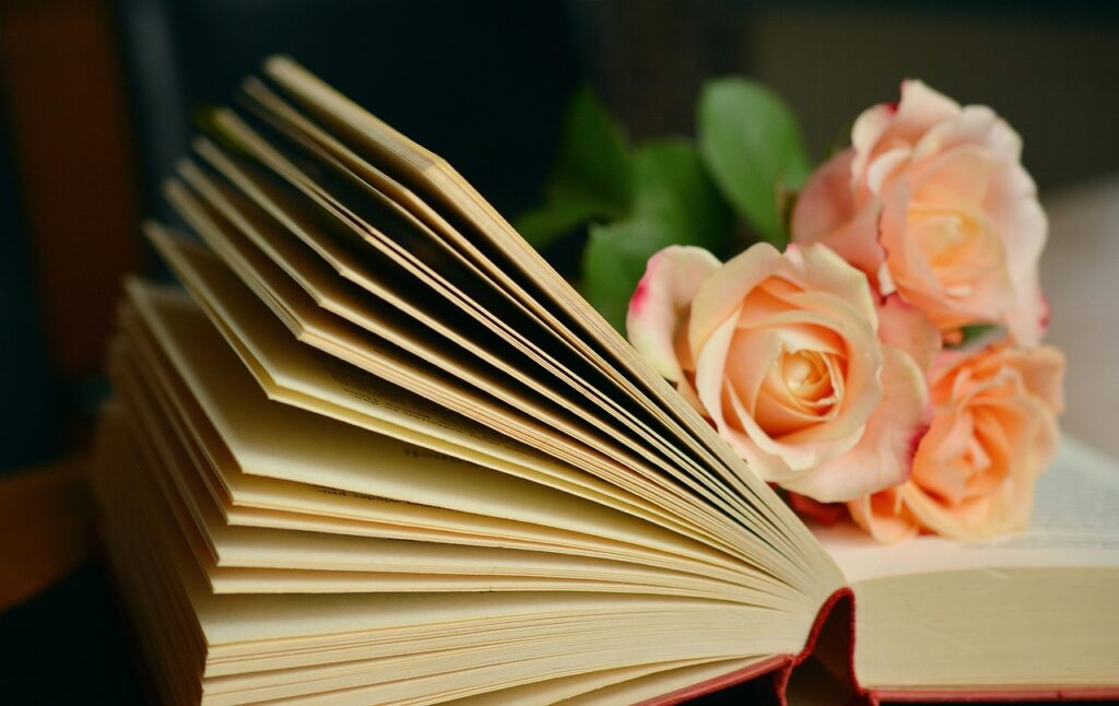 book, pages, nature, roses, flowers, open, open book, novel, read, reading, flower wallpaper, leisure, flower background, book pages, beautiful flowers, romantic, literature