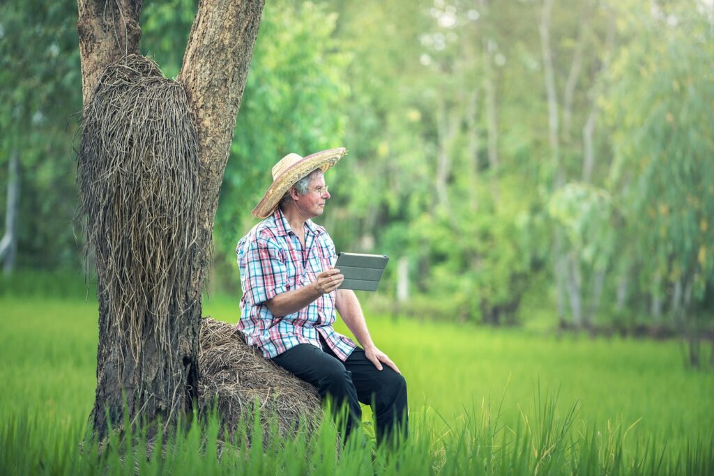 agriculture, caucasian, whole grains, check, computer, connection, nature, copy, crops, cultivation, digital, farm, farmer, farming, be happy, harvest, horizontally, internet, man, outdoor, plant, remote, space, standpoint, summer, tablet, technology, touch screen, twenty, walking, wheat, wireless, worker, work