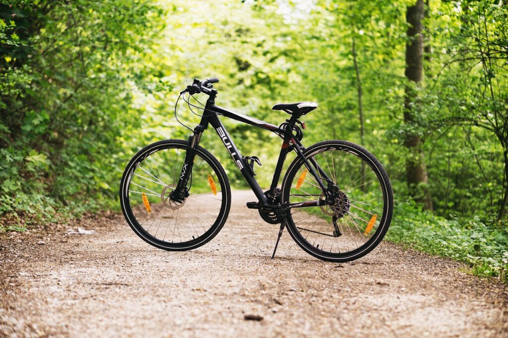 bicycle, bike, forest, path, sports, outdoors, nature, dirt road, mountain bike, wheels, bicycle wheels, parked, park, woods