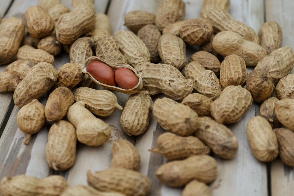 14 Nutrition Myths That Are Totally Wrong (and What Science Says Instead)
