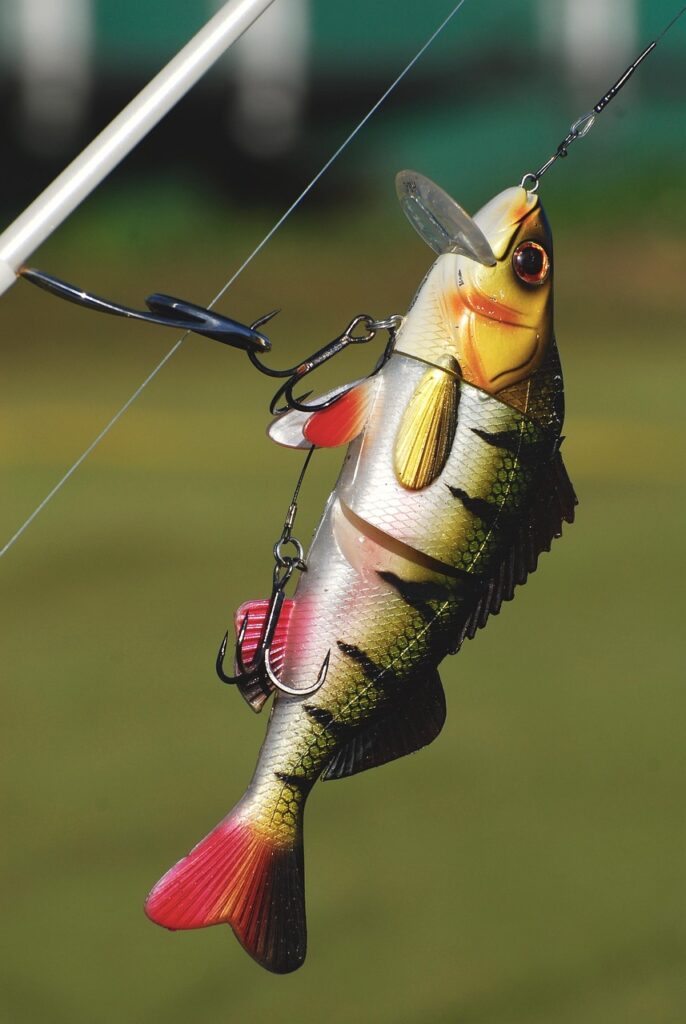 lure, fishing, angling, tackle, freshwater, hook, fisherman, lure, lure, lure, lure, lure, fisherman