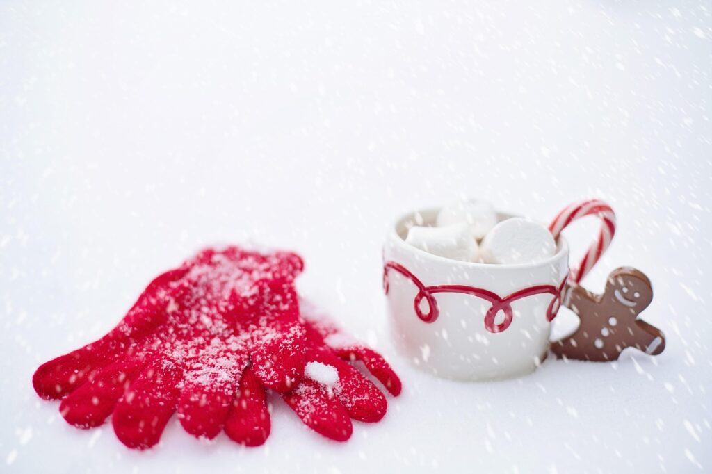 hot chocolate, snow, winter, nature, chocolate, hot, cup, drink, marshmallow, christmas, cocoa, mug, warm, cozy, snowy, comfort, warm and cozy