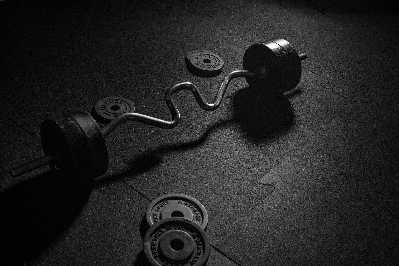 dumbbell, sports, weights, gym, weight training, fitness device, muscle training, work out, bodybuilding, weight plates, barbell, black, gym, gym, gym, gym, gym