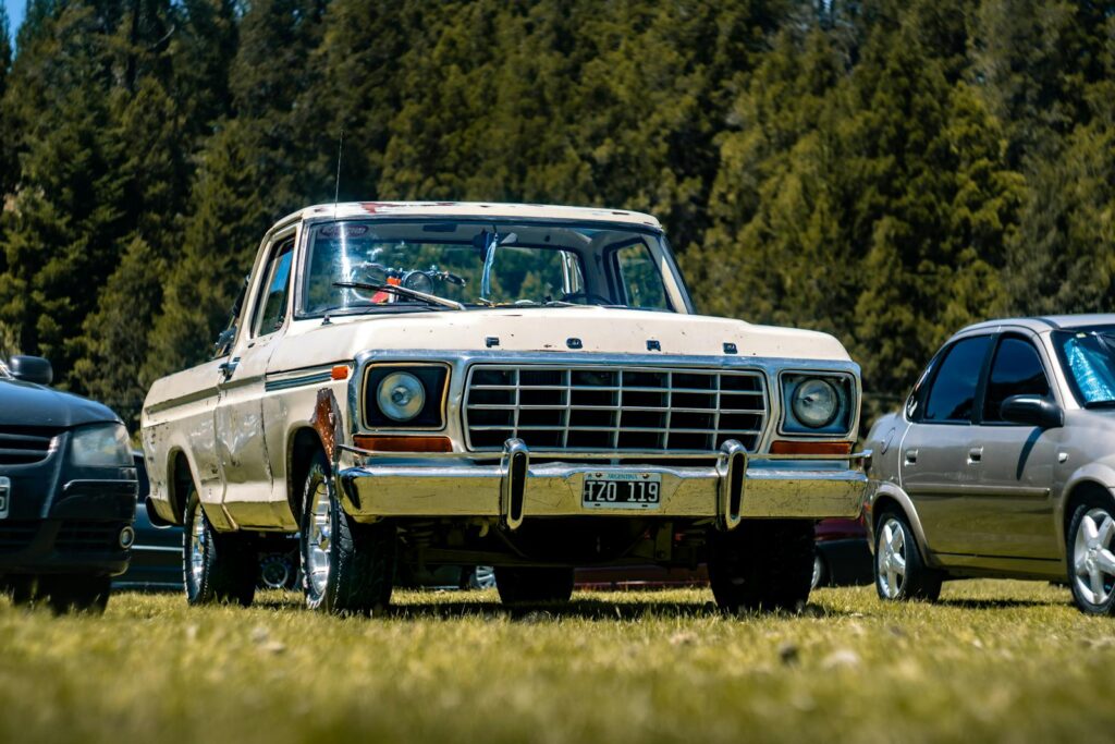 Classic Ford F-Series pickup truck parked outdoors in scenic El Bolsón, Argentina.
