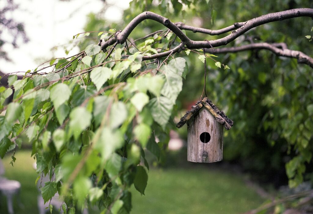 bird feeder, branches, backyard, leaves, foliage, wooden bird feeder, feeder, birdhouse, tree, park, garden, nature, outdoors, closeup