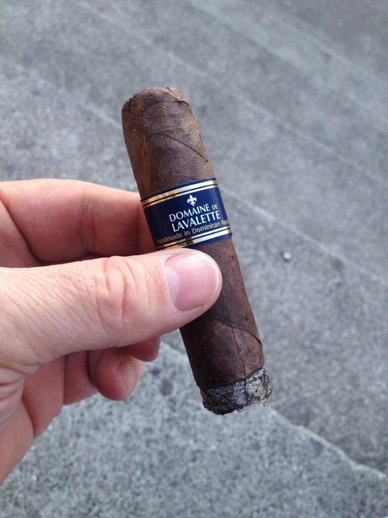 cigar, smoking, tobacco, enjoy, enjoyment, cigars