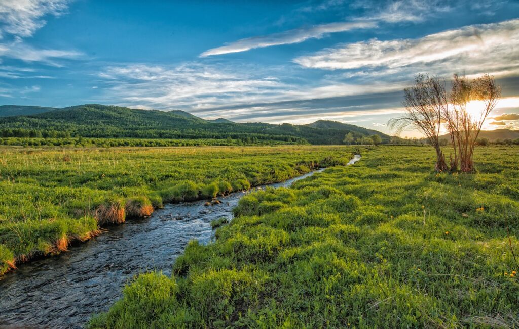 sunset, stream, nature, green meadow, june, bogart village, mongolia