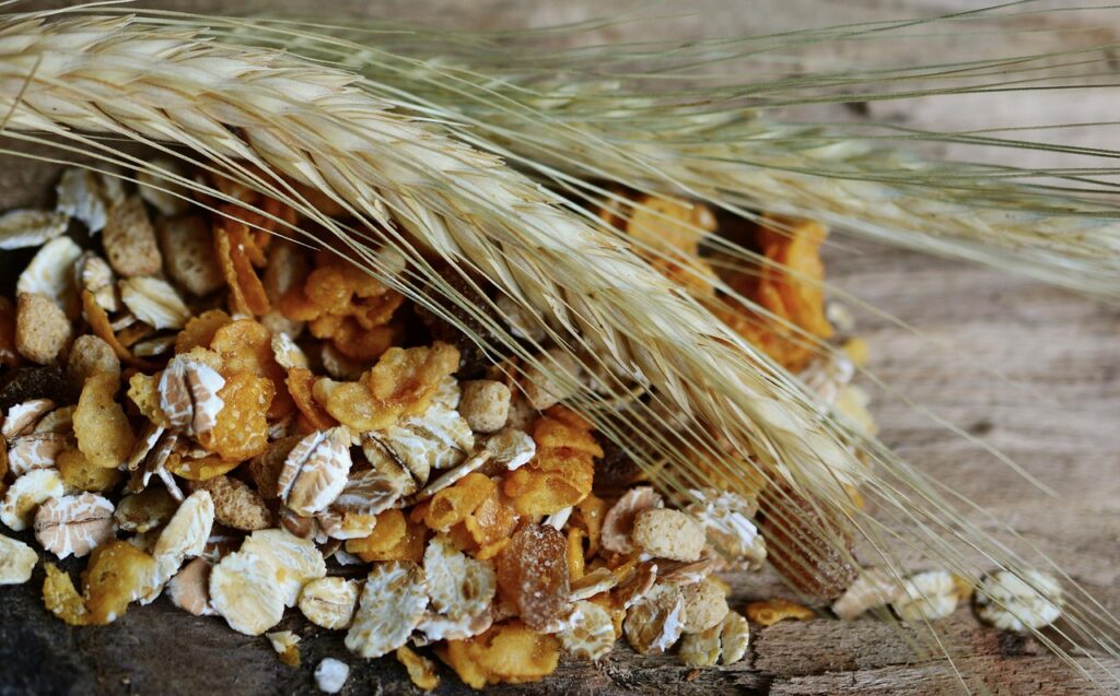 grain, cereal stalk, cereals, nature, cereal, spike, nourishment, summer, staple food, food
