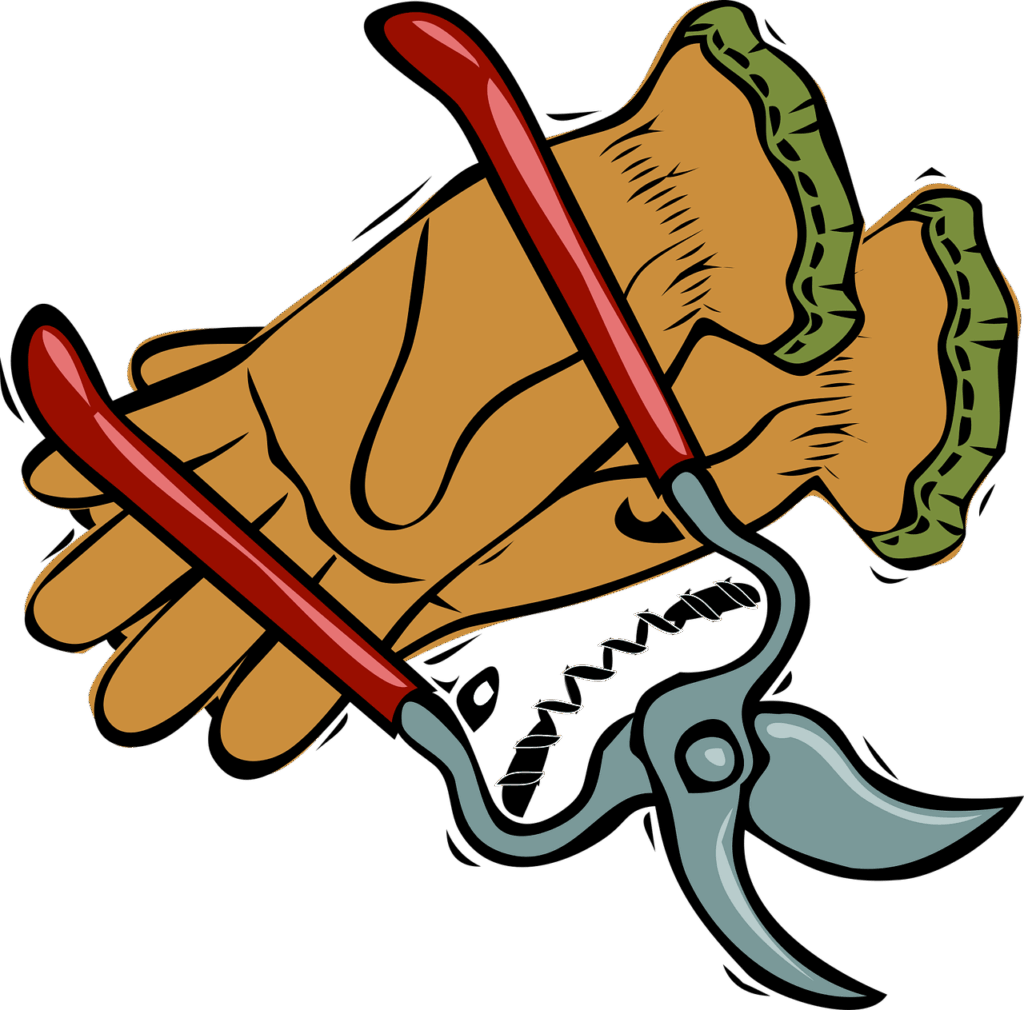 pruning shears, gloves, garden, pruning, trim, gardener, outdoors, spring, season, care, trimming, branch, sharp, cutting, clippers, horticulture, growth, trimmer, metal, object, blade, nature, greenery, grow, worker, hobby, yard, bush, manual, shrub, shears