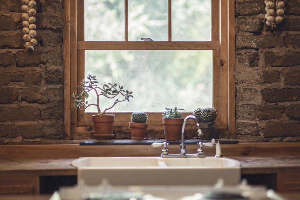 garlic, cactus, window, green, house, cooking, farm, farmhouse, country, lifestyle, table, nutrition, wooden, plant, design, happy, garden, dinner, agriculture, meal, kitchen, natural, vegetable, home, organic, fresh, healthy, vegetarian, diet, salad, cook, tomato, food, nature, window, window, house, kitchen, kitchen, kitchen, kitchen, kitchen, home