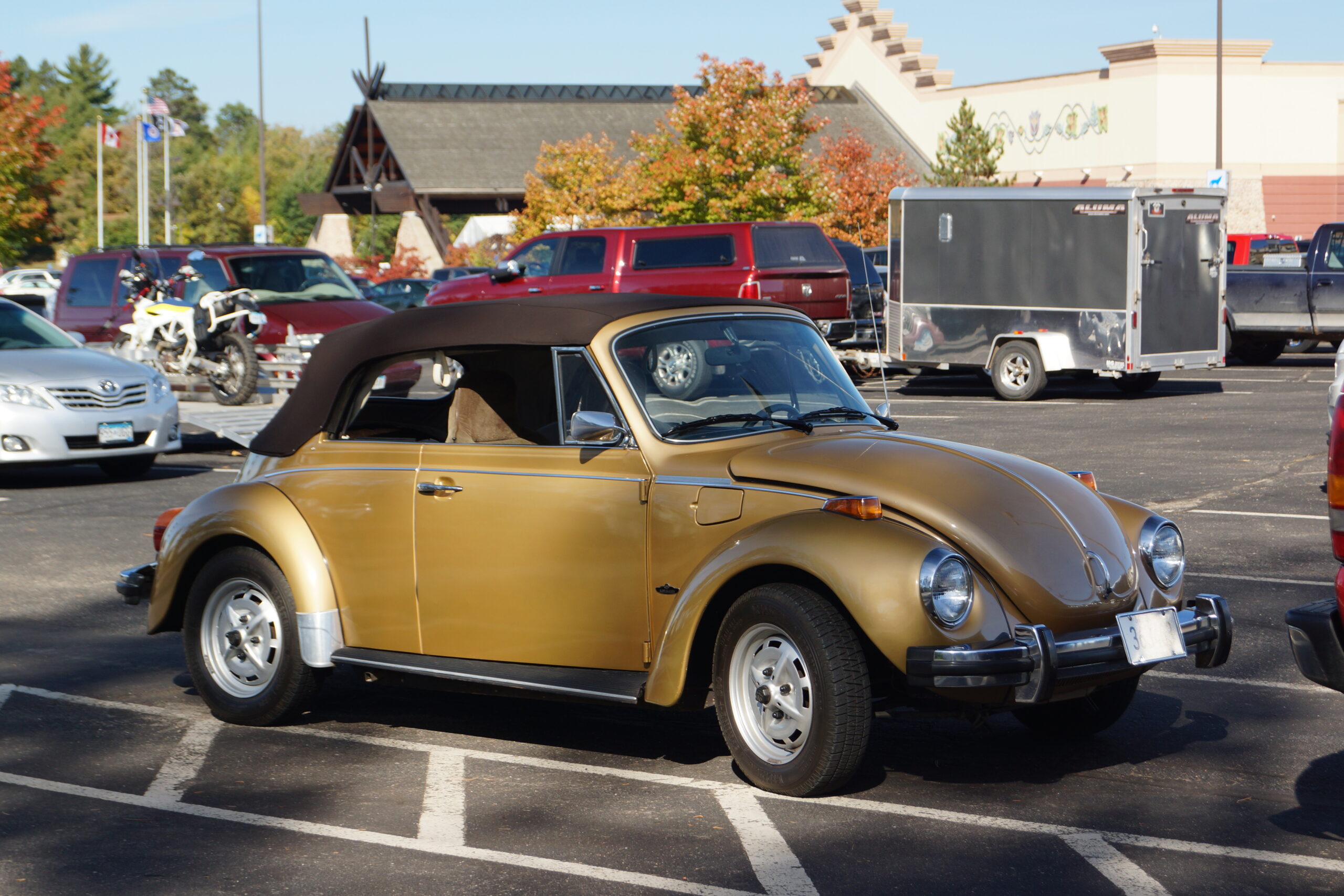 Volkswagen Beetle