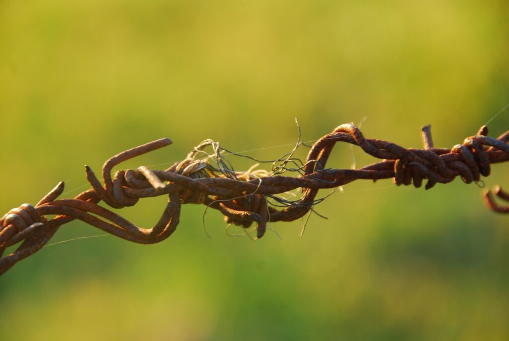 barbed wire, wire, rusty, rust, wiring, barbed wire fence, caution