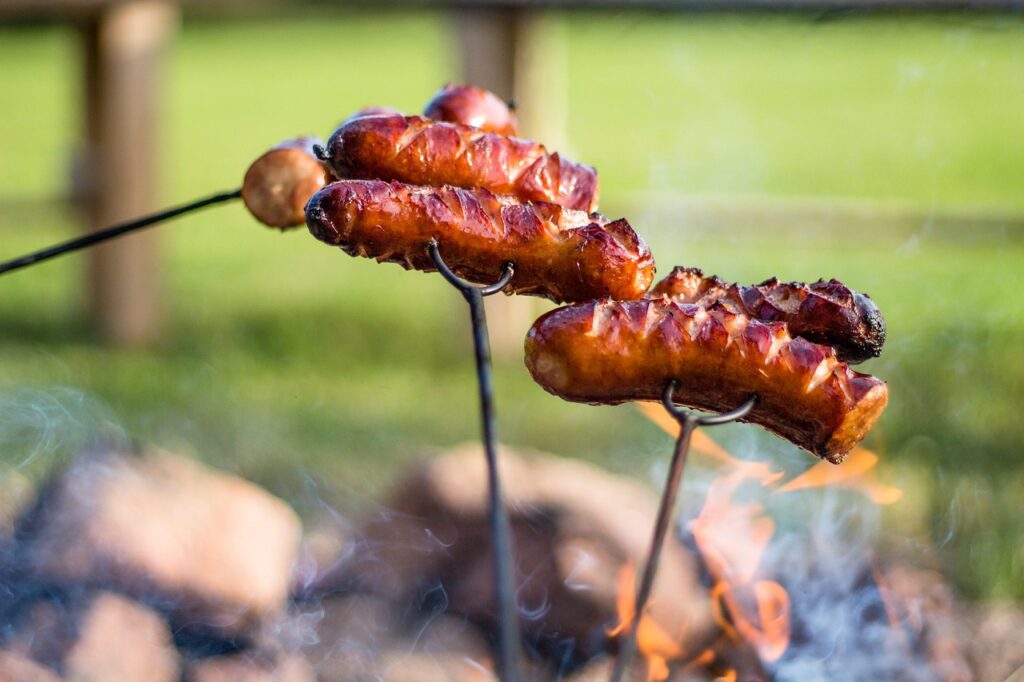 campfire, sausage, sausage roasting, sausages, meat, grilling, smoking, food, nature, flames, smoke, wood, summer, barbecue