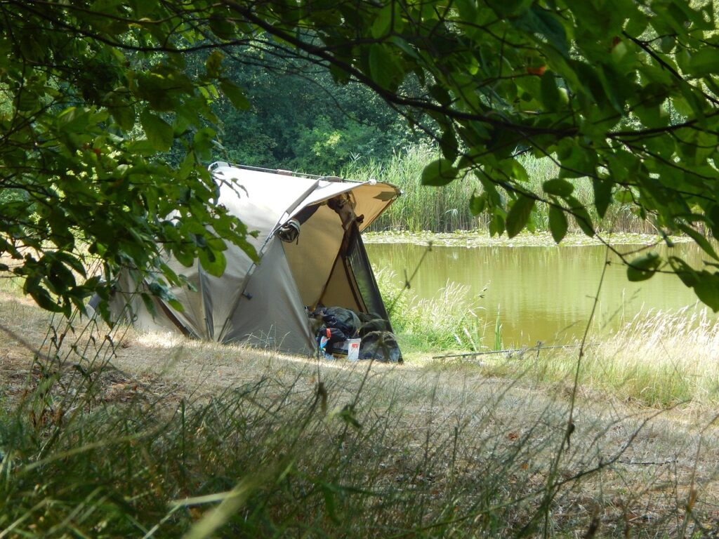 fish, nature, tent